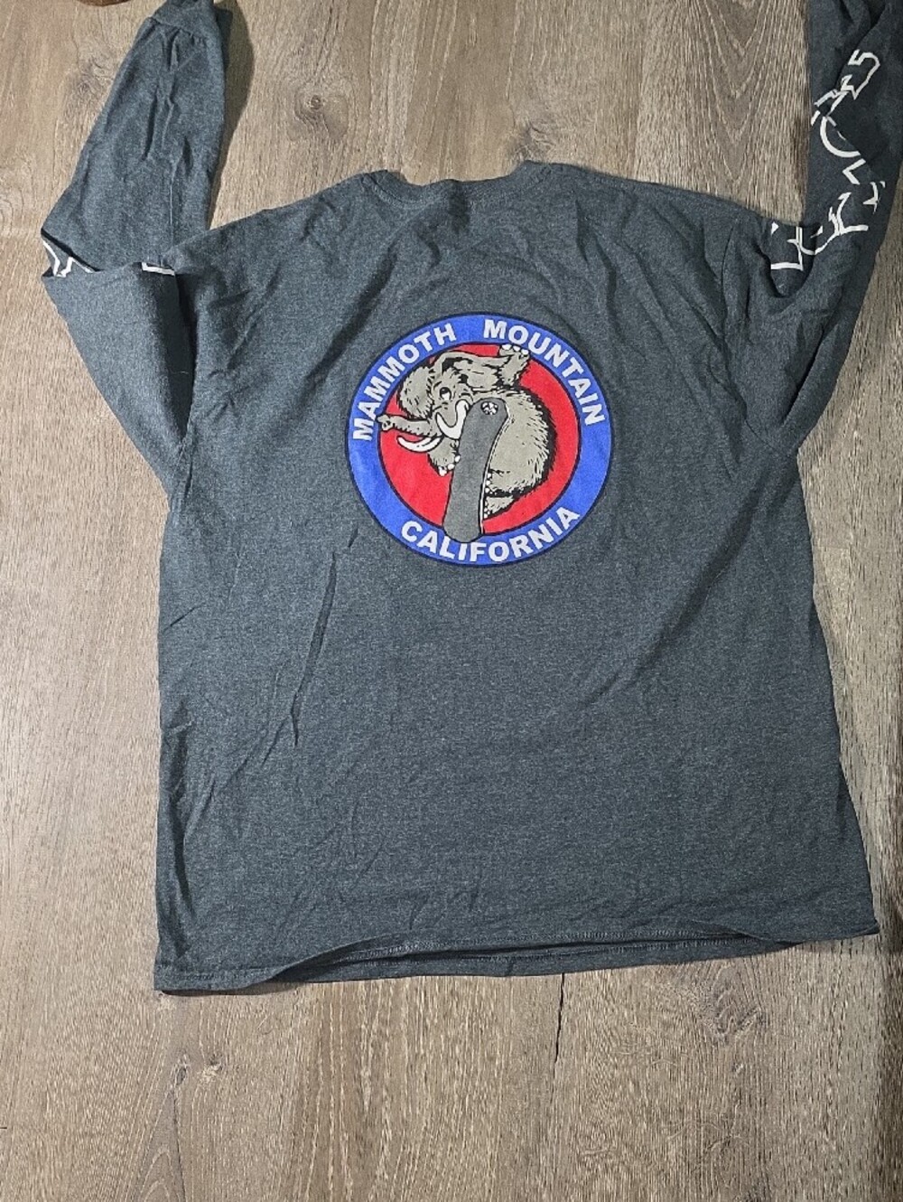 Mammoth Long Sleeve Crewneck Tee - Charcoal - Picture 5 of 5